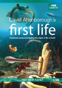 Cover for Documentary / Bbc Earth · First Life (DVD) (2011)
