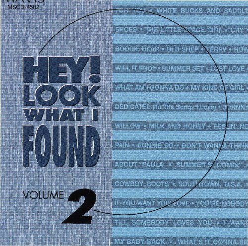 Cover for Hey Look What I Found 2 / Various (CD) (2008)