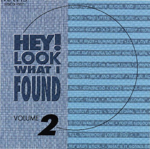 Hey Look What I Found 2 / Various - Hey Look What I Found 2 / Various - Musique - Mavis - 0076753450225 - 2008