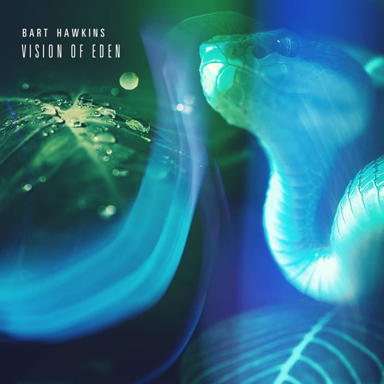 Cover for Bart Hawkins · Vision Of Eden (CD) (2021)