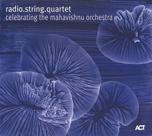 Cover for Radio String Quartet · Celebrating the Mahavishnu Orchestra (CD) (2011)