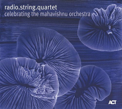 Celebrating the Mahavishnu Orchestra - Radio String Quartet - Muziek - SUN - 0614427946225 - 31 december 2011