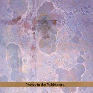 Cover for John Zorn · Voices in the Wilderness: Masada Anniv Ed 2 (CD) (2003)