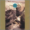 Cover for Ruins · Hyderomastgroningem (CD) (1999)