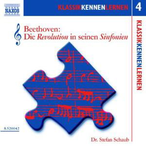 Cover for Stefan Schaub · * KLASSIK KENNEN LERNEN / Die Revolution in Seinen Sinfo (CD) (2004)