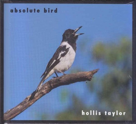 Cover for Hollis Taylor · Absolute Bird (CD) (2017)