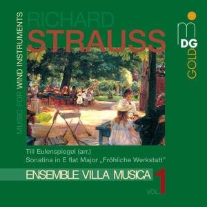 Cover for Strauss,r. / Ensemble Villa Musica · Sonatina in E-flat / Till Eulenspiegel (CD) (2003)