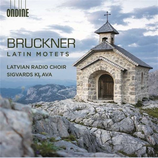 Cover for Anton Bruckner · Latin Motets (CD) (2020)