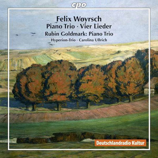 Felix Woyrsch: Piano Trios - Goldmark / Woyrsch / Hyperion-trio / Ullrich - Musiikki - CPO - 0761203512225 - perjantai 3. maaliskuuta 2017