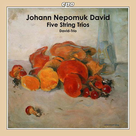 Cover for David-trio · Johann Nepomuk David: Five String Trios (CD) (2021)