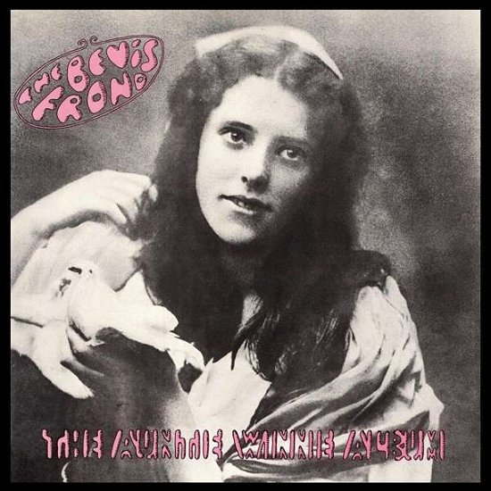 The Bevis Frond · Auntie Winnie Album (CD) (2017)