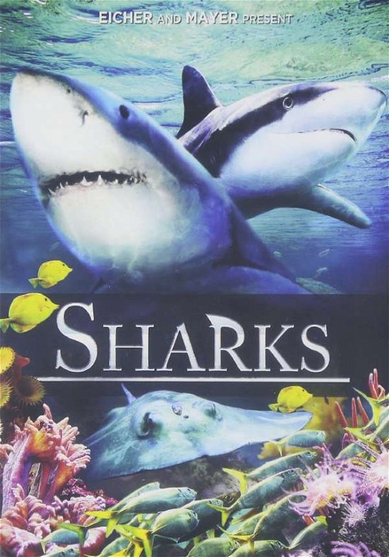 Cover for Sharks (DVD) (2015)