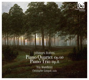 Cover for Johannes Brahms · Piano Trio No.1/Quartet No.3 (CD) (2016)