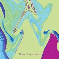 Cover for Gum · Seventeen (CD) [Japan Import edition] (2013)