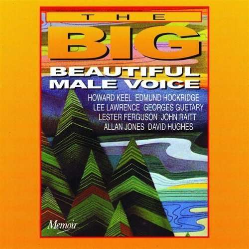 Beautiful Male Voice / Various - Beautiful Male Voice / Various - Music - MEMOIR REC. - 5012498057225 - December 24, 2002