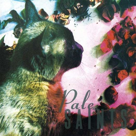 Cover for Pale Saints · The Comforts Of Madness (CD) (1998)