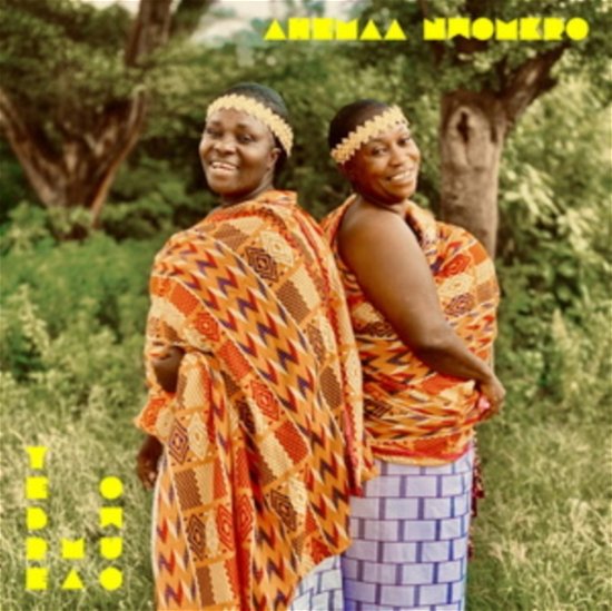 Cover for Ahemaa Nwomkro · Yebre Ma Owuo (LP) (2023)