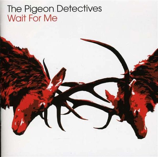 Cover for Pigeon Detectives · Wait for Me (CD) (2010)