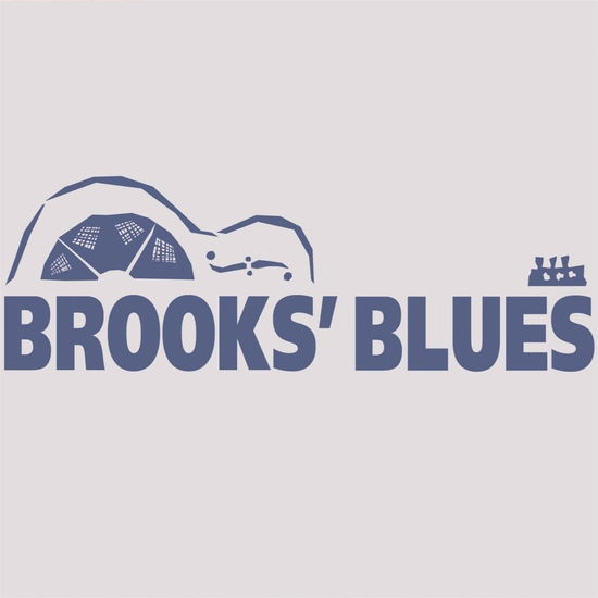 Cover for Brooks Williams · Brooks' Blues (CD) (2017)