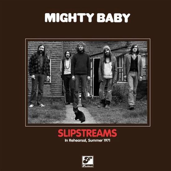 Cover for Mighty Baby · Slipstreams (LP) (2015)