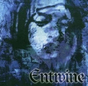 Cover for Entwine · The Treasures Within Hearts (CD) (1999)
