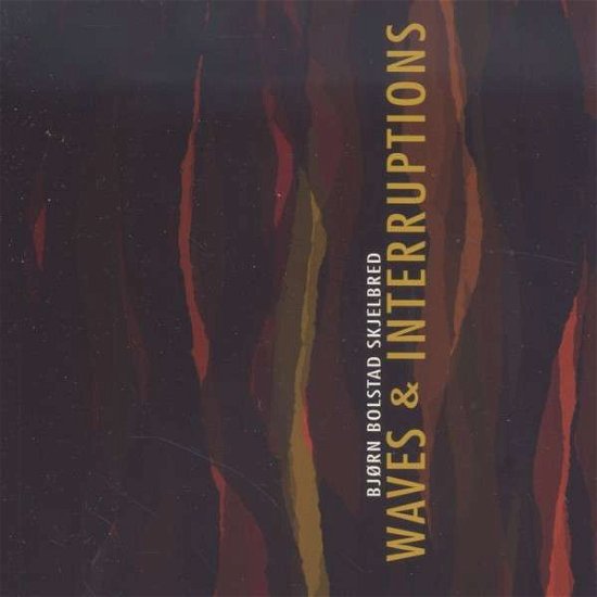 Cover for Skjelbred / Raude / Bryhn / Andreassen / Kjekstad · Waves &amp; Interruptions (Blu-ray Audio) (2014)