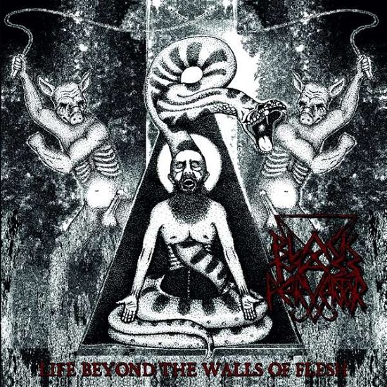 Cover for Black Mass Pervertor · Life Beyond the Walls of Flesh (SCD) (2018)