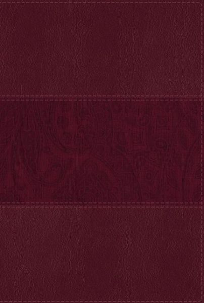 Cover for Kenneth L. Barker · NIV Study Bible, Fully Revised Edition, Large Print, Leathersoft, Burgundy, Red Letter, Thumb Indexed, Comfort Print (Book) (2020)