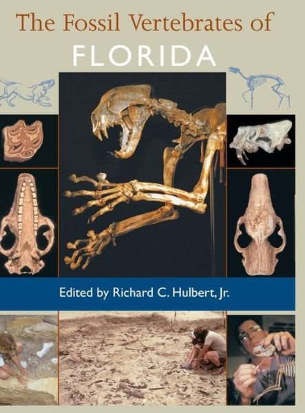 Cover for Richard C Hulbert · The Fossil Vertebrates of Florida (Hardcover Book) (2001)