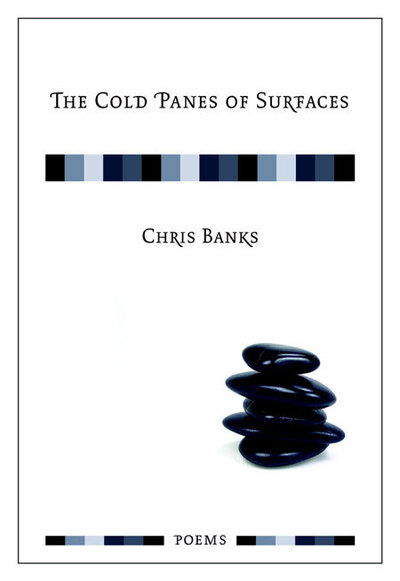 Cover for Chris Banks · Cold Panes of Surfaces: A Junction Book (Paperback Book) (2006)