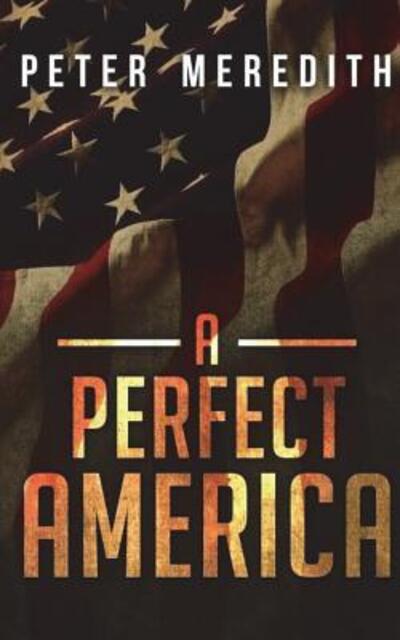 Cover for Peter Meredith · A Perfect America (Paperback Book) (2014)