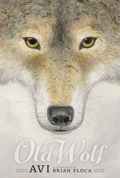 Cover for Avi · Old Wolf (Paperback Bog) (2016)