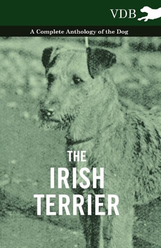 Cover for The Irish Terrier - a Complete Anthology of the Dog (Pocketbok) (2010)