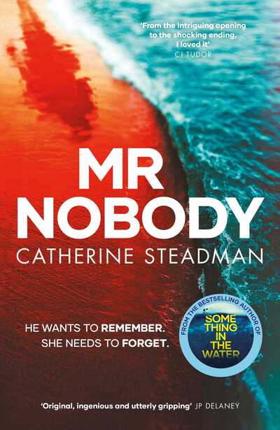 Cover for Catherine Steadman · Mr Nobody (Hardcover Book) (2020)