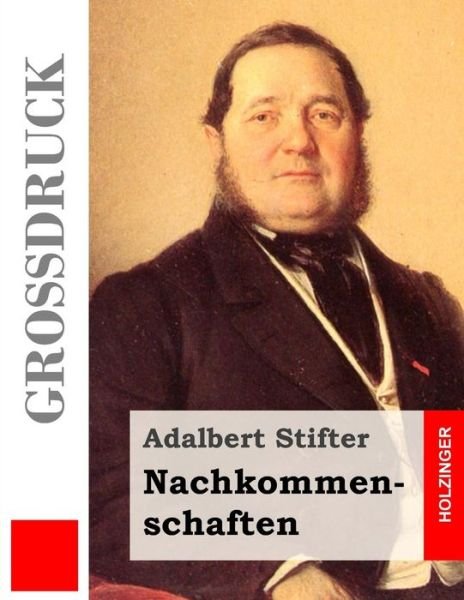 Cover for Adalbert Stifter · Nachkommenschaften (Großdruck) (German Edition) (Taschenbuch) [German, Lrg edition] (2013)