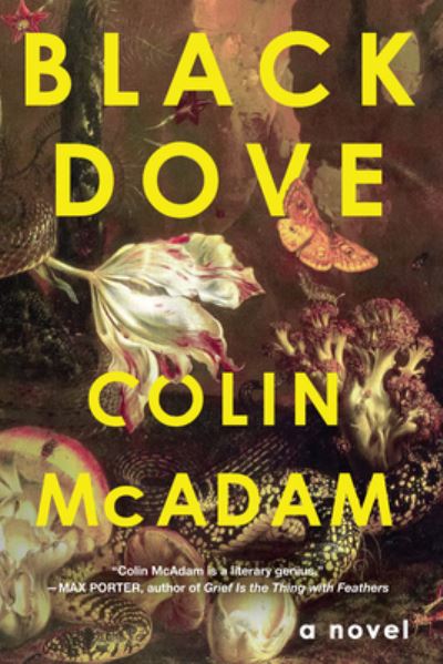 Cover for Colin McAdam · Black Dove (Gebundenes Buch) (2023)