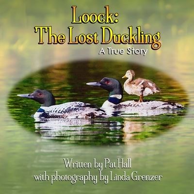 Cover for Pat Hall · Loock (Paperback Book) (2020)