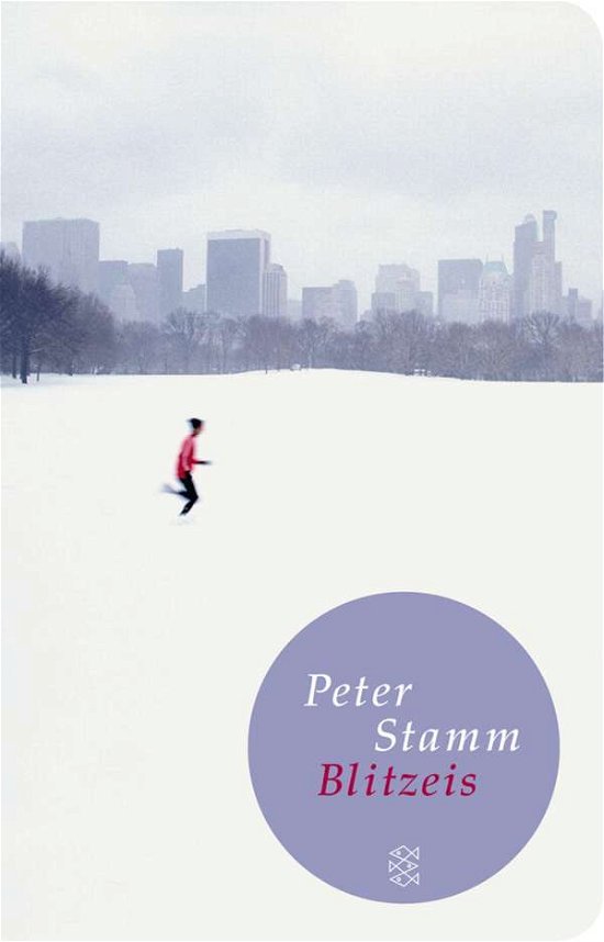 Cover for Peter Stamm · Fischer TB.51222 Stamm:Blitzeis (Book)