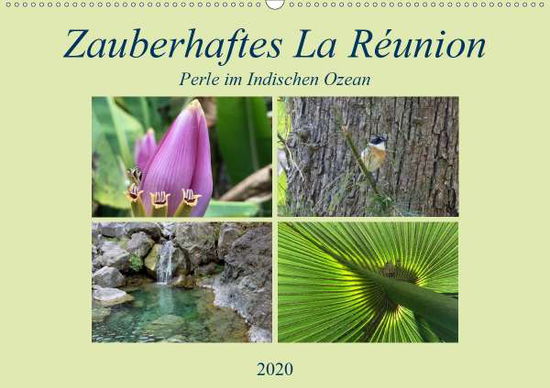 Zauberhaftes La Reúnion - Perle i - Fritz - Books -  - 9783671174225 - 