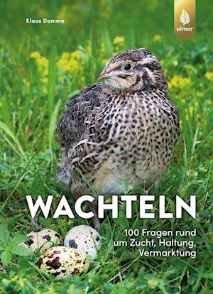 Cover for Klaus Damme · Wachteln (Pocketbok) (2022)