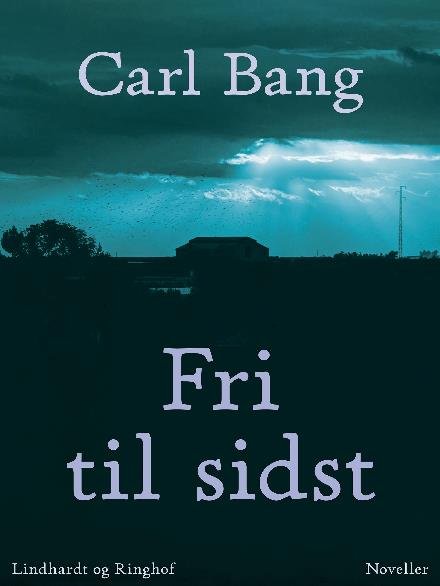 Cover for Carl Bang · Fri til sidst (Taschenbuch) [1. Ausgabe] (2017)