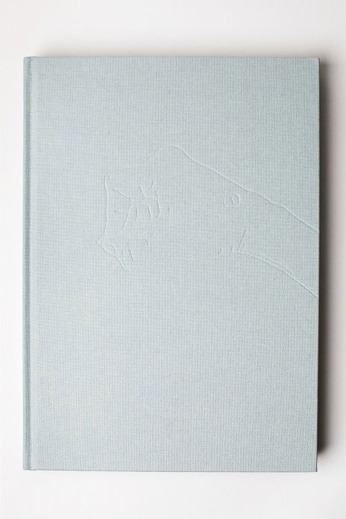 Cover for Vibeke Rønsbo · Brevstemmer (Hardcover bog) [1. udgave] (2018)