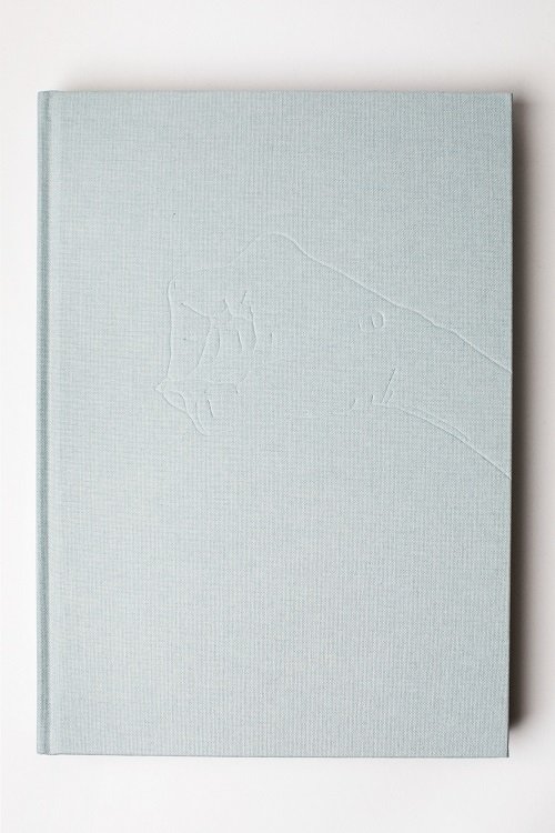Cover for Vibeke Rønsbo · Brevstemmer (Hardcover Book) [1º edição] (2018)