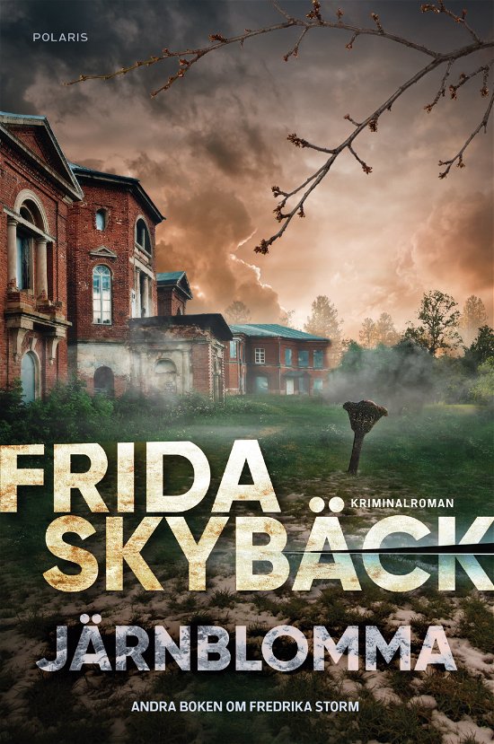 Cover for Frida Skybäck · Järnblomma (Paperback Book) (2024)