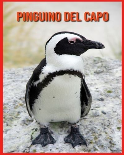 Cover for Linda Davis · Pinguino del Capo: Fatti di apprendimento divertenti sui Pinguino del Capo (Paperback Book) (2021)