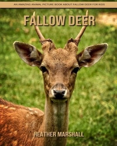 Cover for Heather Marshall · Fallow Deer: An Amazing Animal Picture Book about Fallow Deer for Kids (Paperback Book) (2021)