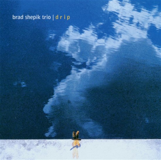 Cover for Brad -Trio- Shepik · Drip (CD) (2003)