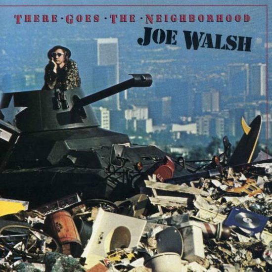 There Goes the Neighbourhood - Joe Walsh - Música - WARNER SPECIAL IMPORTS - 0075596057226 - 18 de julio de 1991