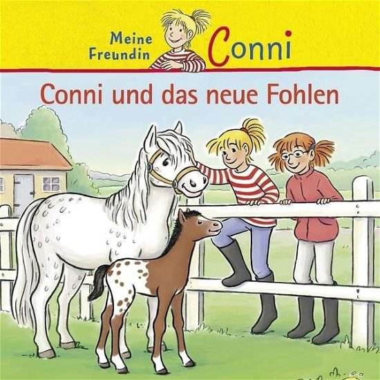 40: Conni Und Das Neue Fohlen - Conni - Muziek - KARUSSELL - 0602537317226 - 4 oktober 2013