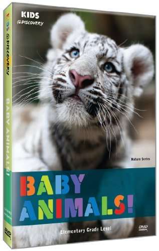 Cover for Baby Animals (DVD) (2010)